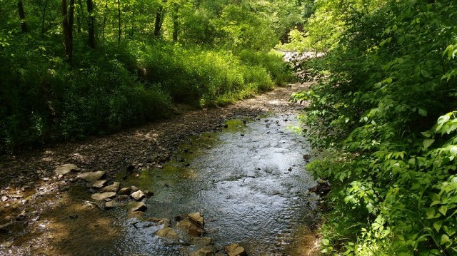 Creek at Pinnacles Youth Park Missouri May 2016