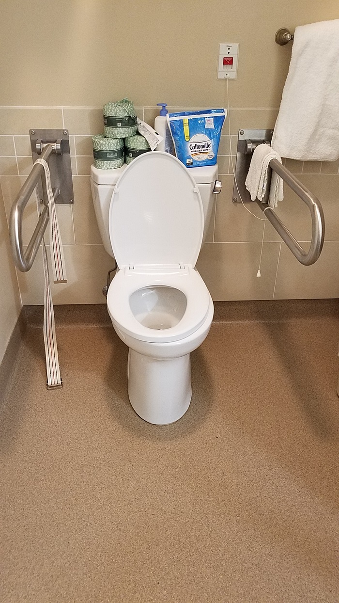 mom toilet 050219