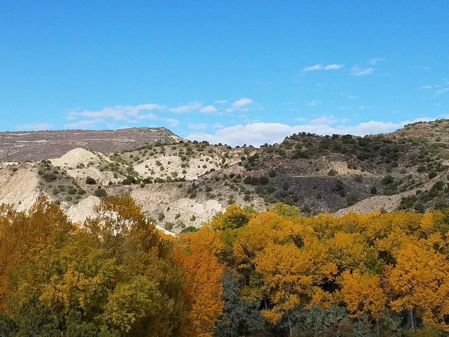 01 Jenny landscape NM Oct 2019