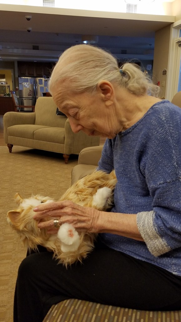 Mom and cat dec 2019