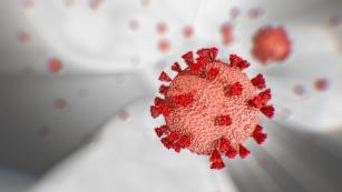 200320110619-coronavirus-animation-medium-plus-169